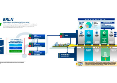 Infographic