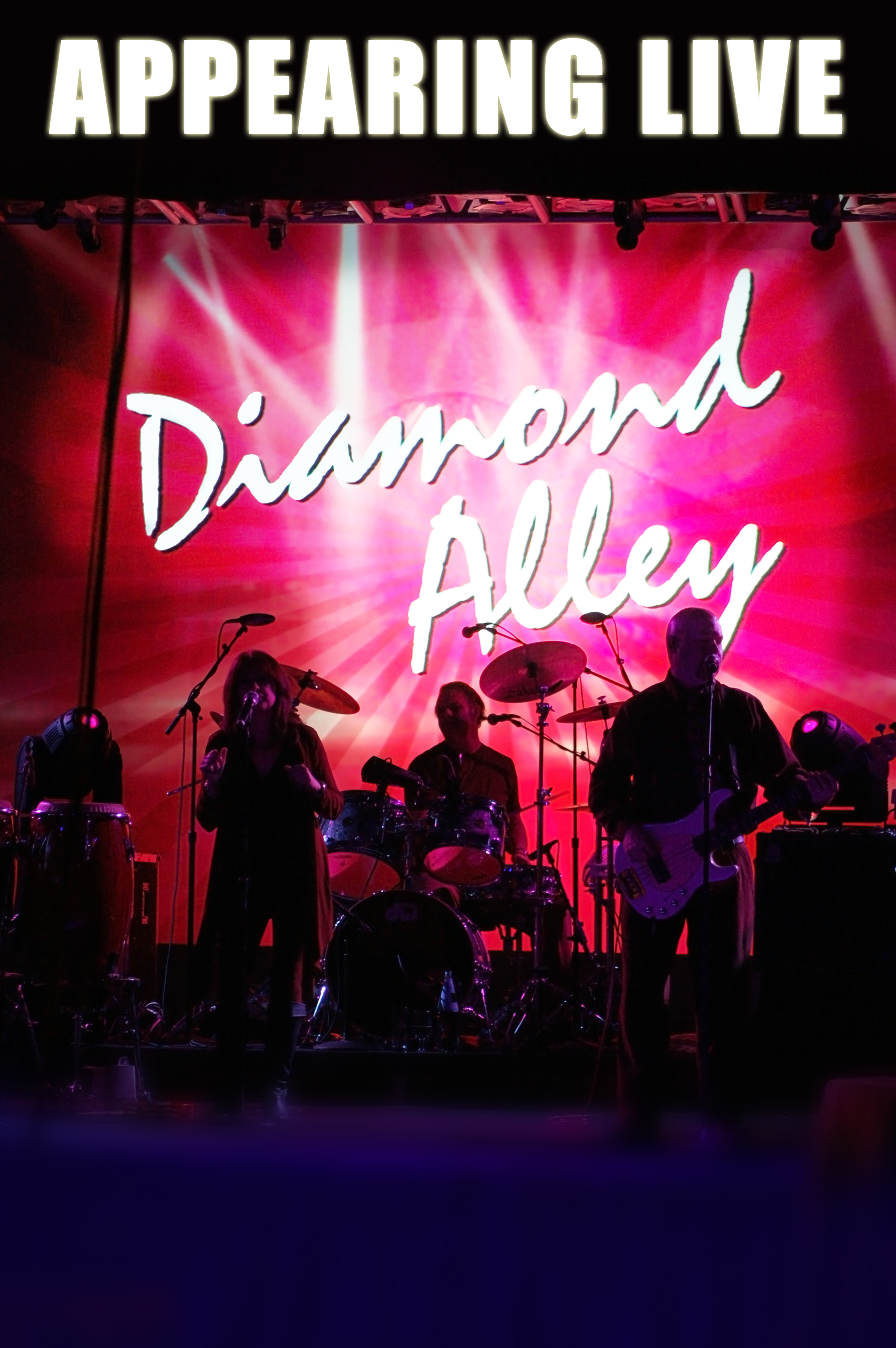 Diamond Alley 11 x 17 Promo Poster